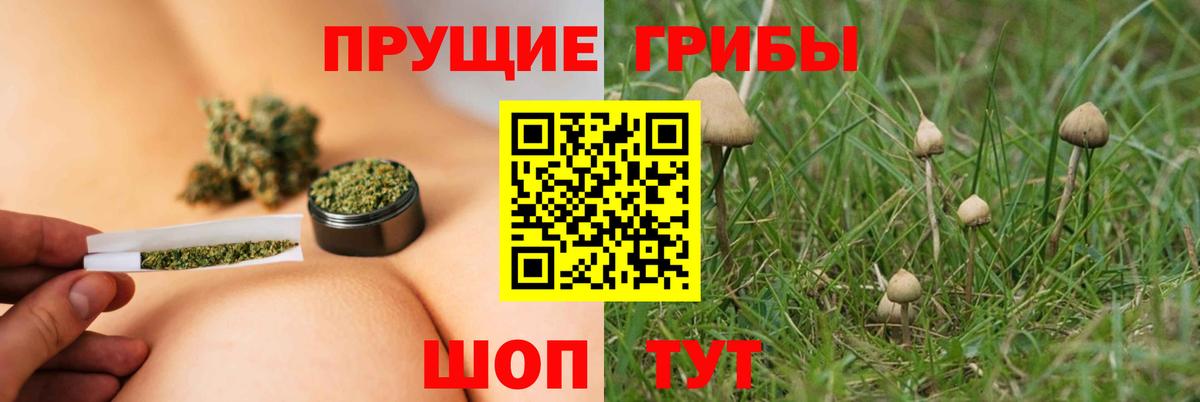 Галлюциногенные грибы MAGIC MUSHROOMS  Галлюциногенные грибы Psilocybe  Дюртюли  Вход с VPN 